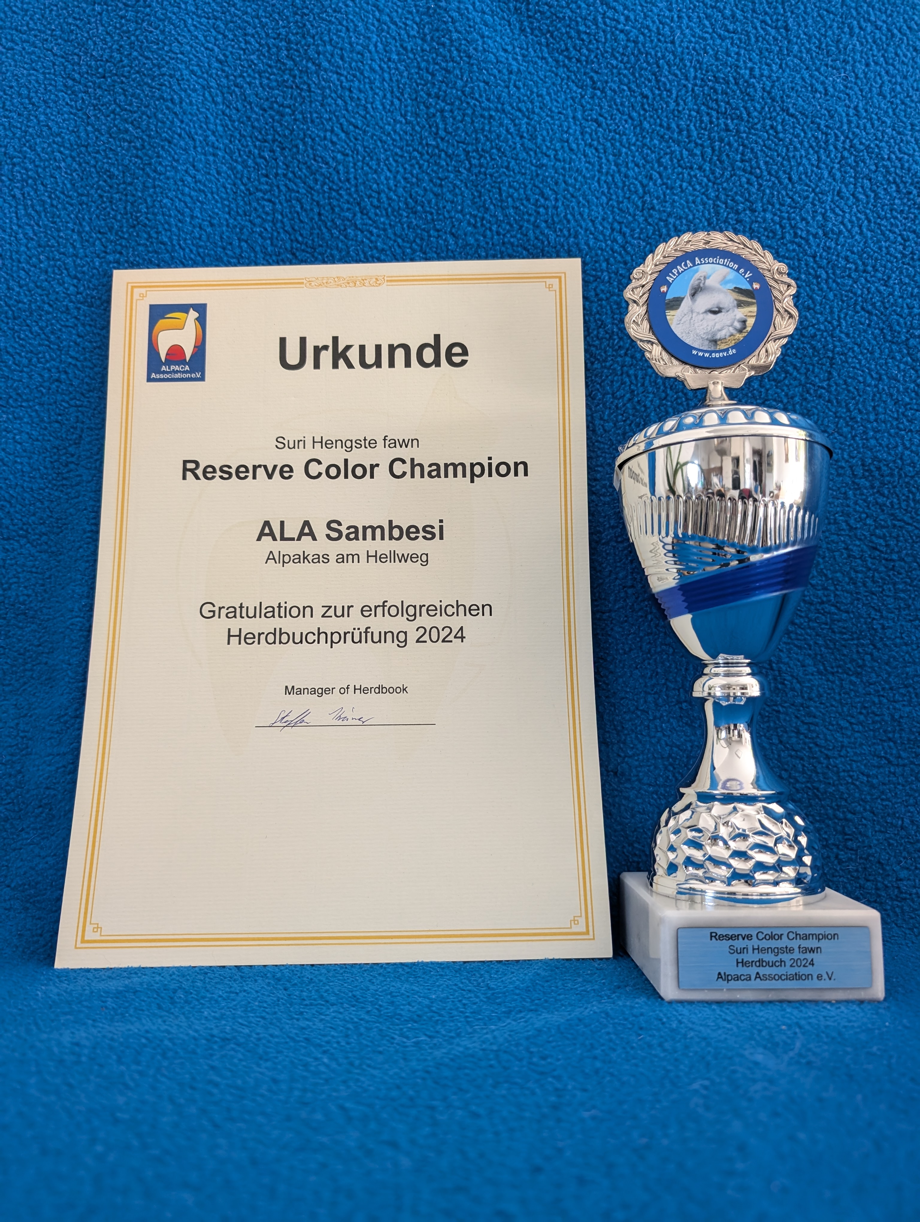 Suri Deckhengst, RCC Herduch 2024